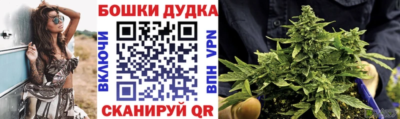 Где купить наркотики Новодвинск Гашиш  APVP  Мефедрон  АМФ  МЕТАМФЕТАМИН  Кокаин 