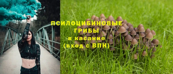 ECSTASY Алексин