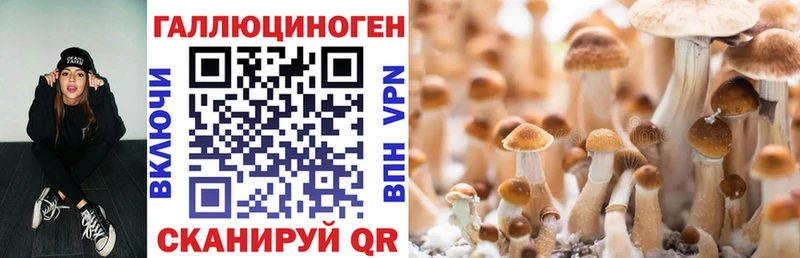 Галлюциногенные грибы прущие грибы Новодвинск