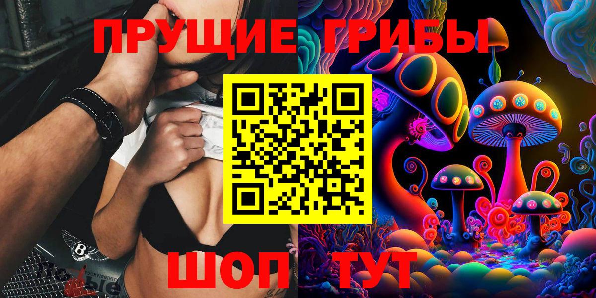как найти закладки  Галлюциногенные грибы Cubensis  Вход с VPN  Новодвинск 
