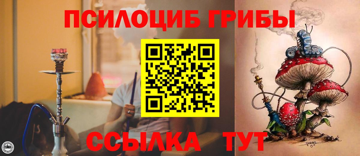 Псилоцибиновые грибы прущие грибы Новодвинск